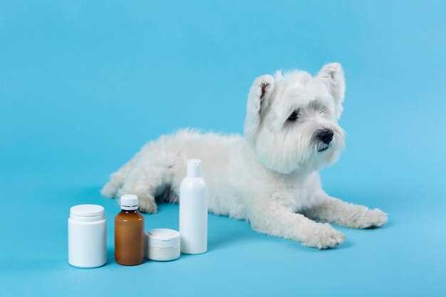 Benefits of Doxycycline for Pets