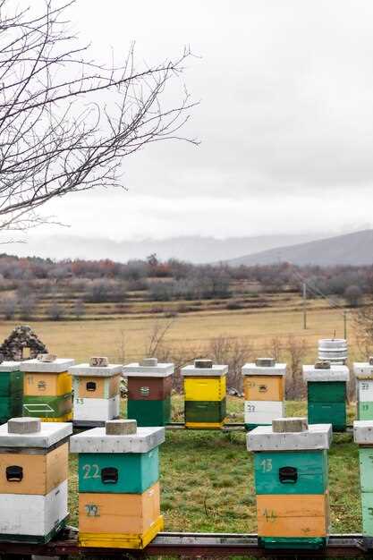 Understanding Hives