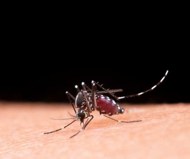 Malaria Symptoms and Risks