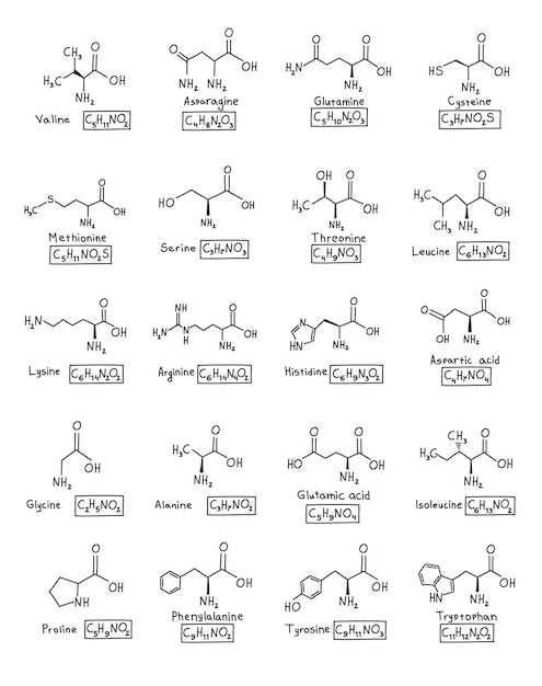 Benefits of Radiolabeled Doxycycline