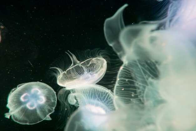 Aquatic doxycycline humans