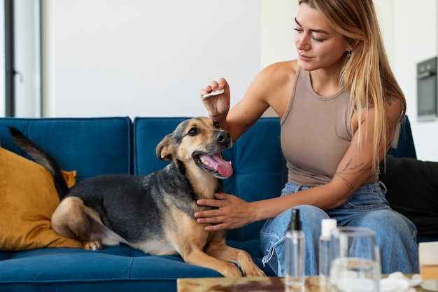 Dog side effects of doxycycline