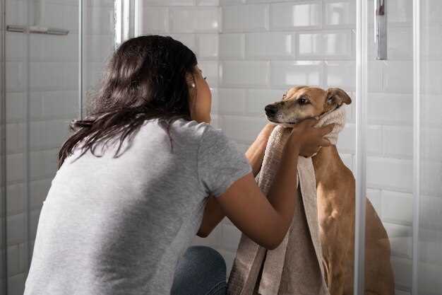 Doxycycline and itching in dogs