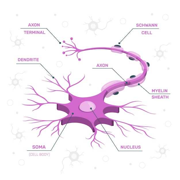 Doxycycline and nerve damage