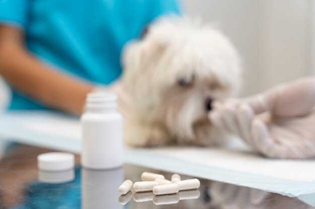 Doxycycline dogs dose