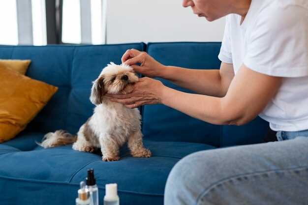 Doxycycline dogs pneumonia