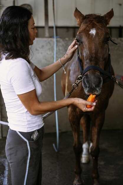 Doxycycline dosage equine