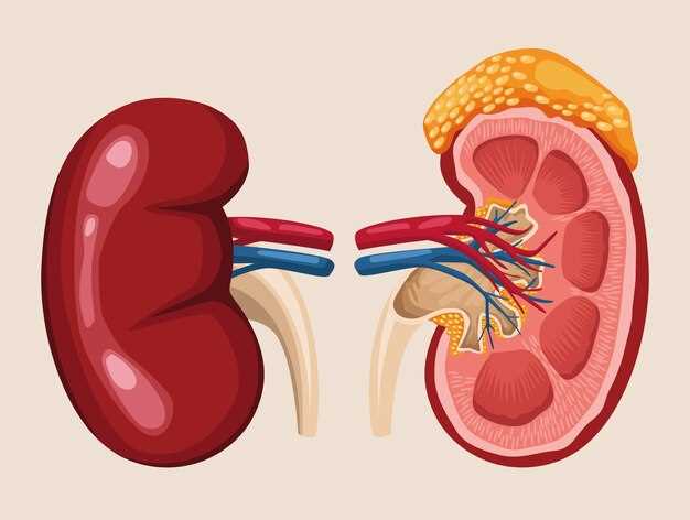 Doxycycline effects on kidneys