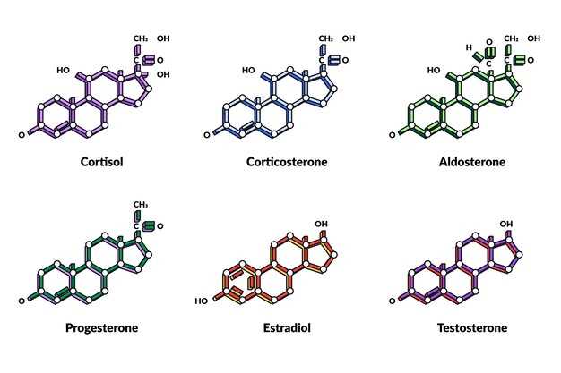 Doxycycline ferrous sulfate interaction