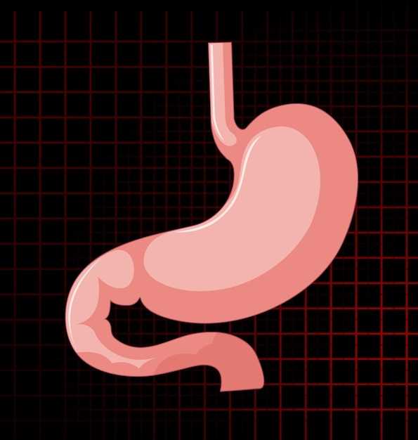 Doxycycline full stomach or empty