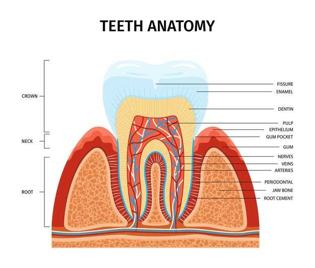 Doxycycline hyclate tooth abscess