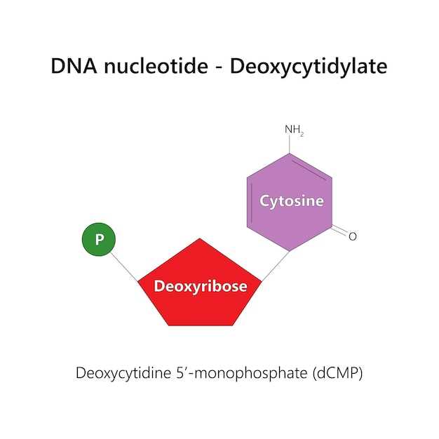 Doxycycline side affects