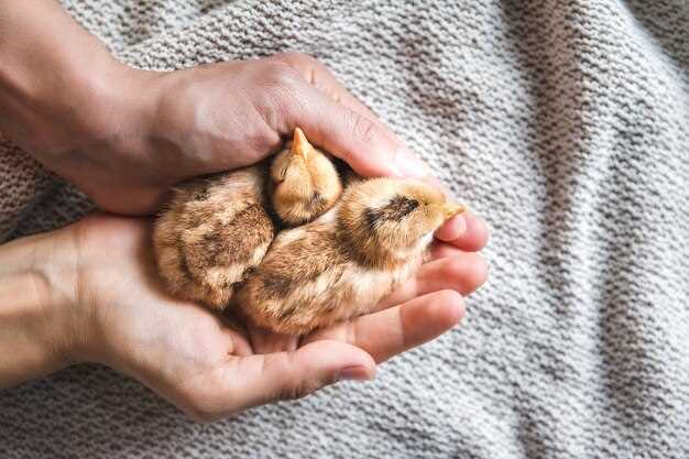 Doxycycline side effects in poultry