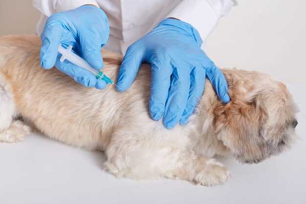 Doxycycline skin infection dog