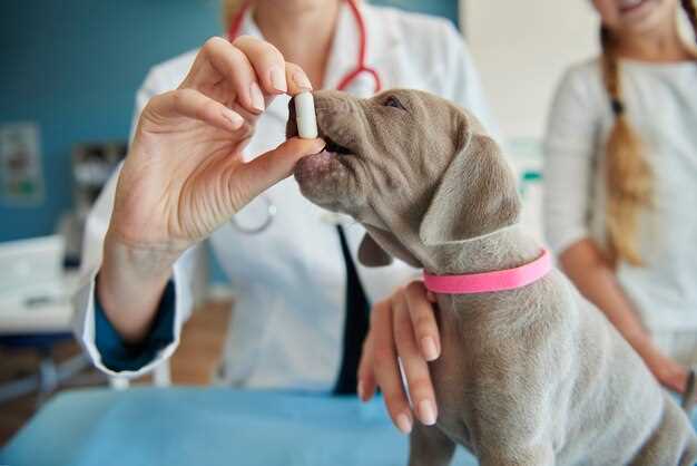 Pet meds doxycycline