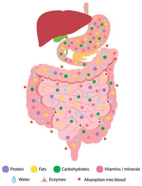 Ulcerated esophagus doxycycline