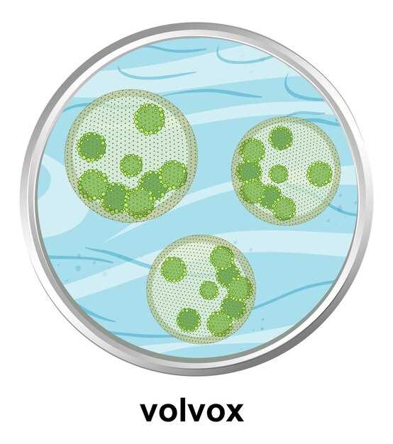 What color is doxycycline hyclate